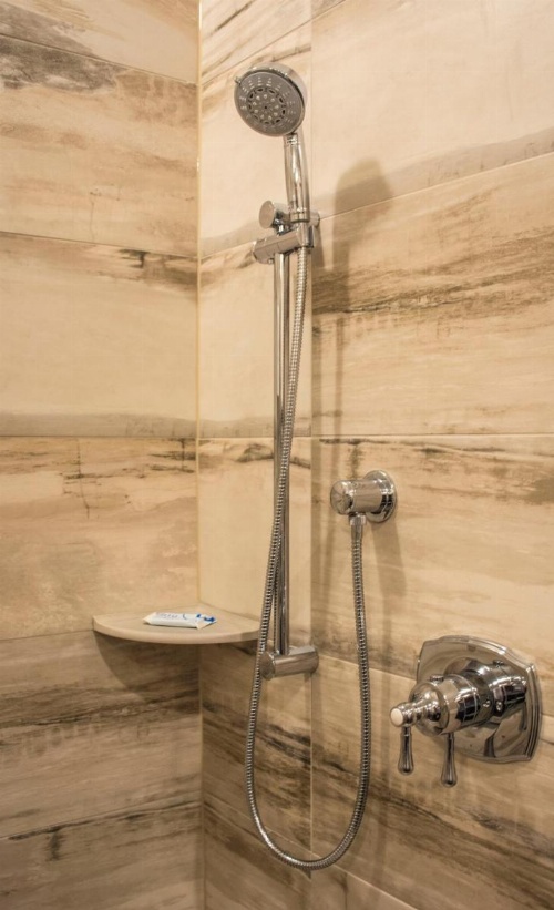 The Delavan image 20